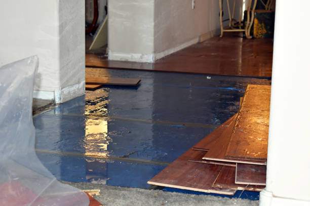 Professional Basement Flood Cleanup technician working in Williamsport, IN